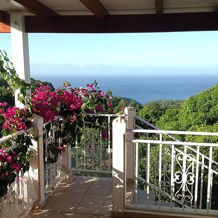 Villa Des Iles Basse-Terre Buitenkant foto