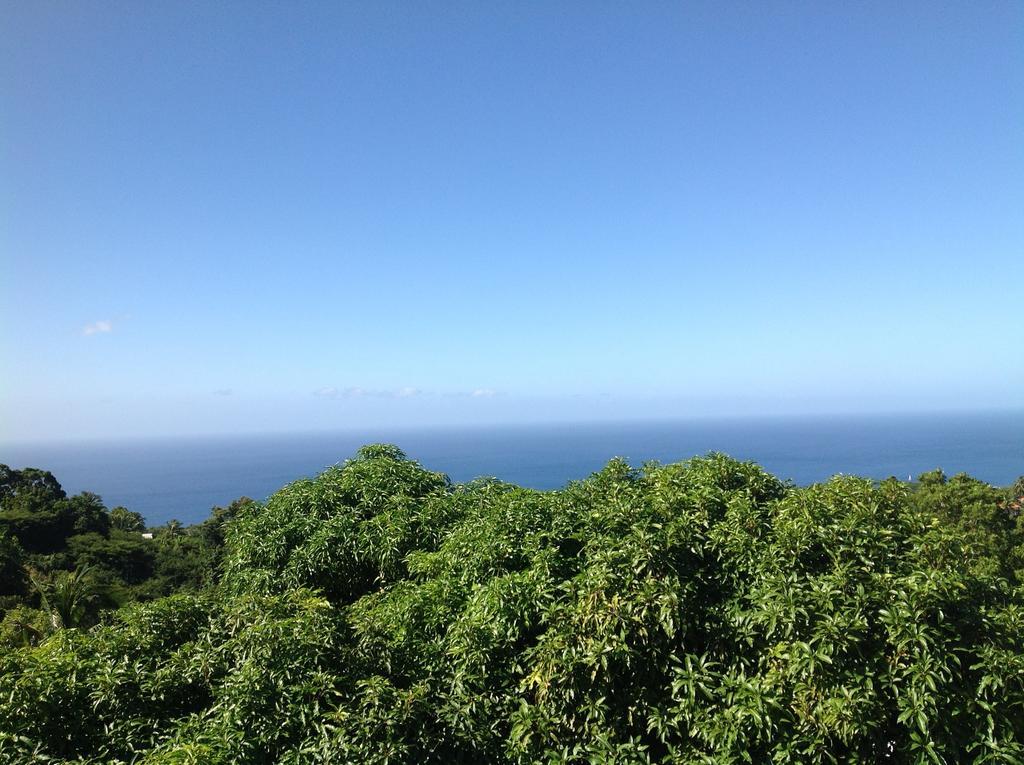 Villa Des Iles Basse-Terre Buitenkant foto
