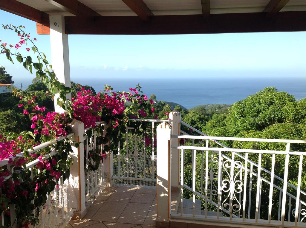 Villa Des Iles Basse-Terre Buitenkant foto