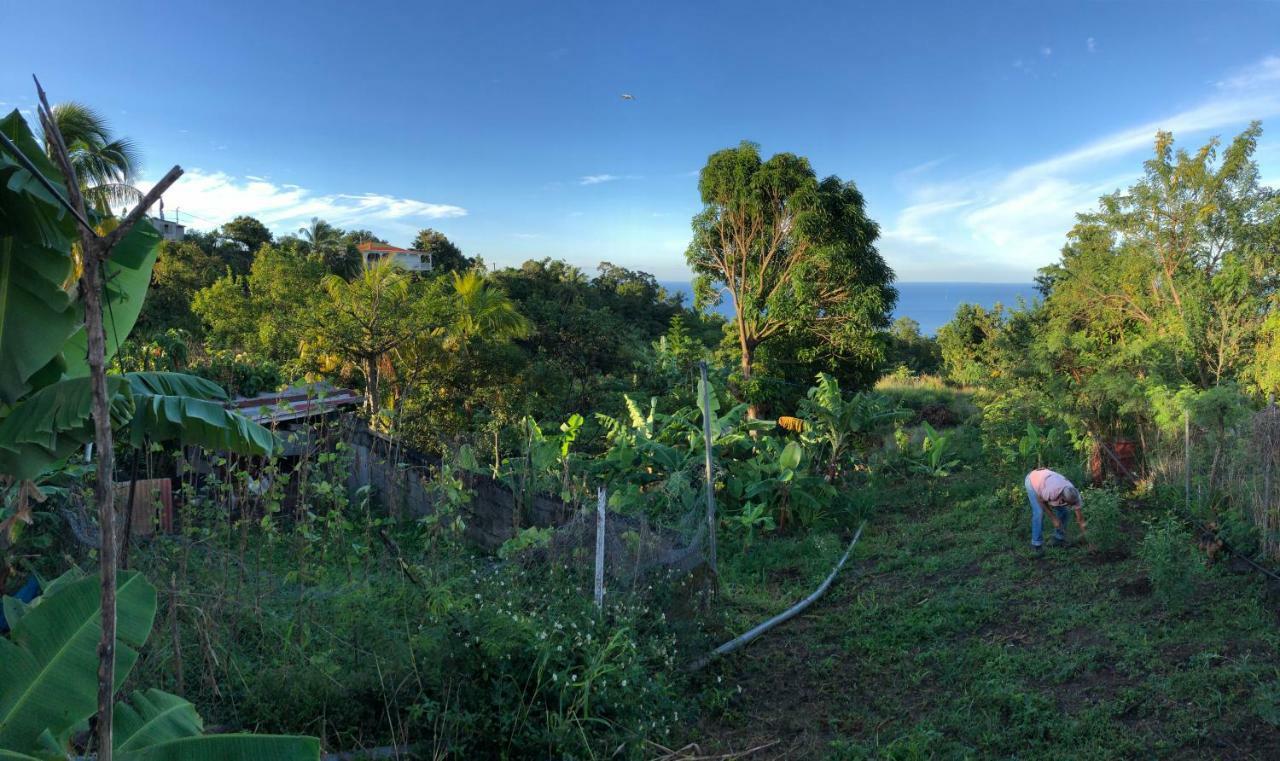 Villa Des Iles Basse-Terre Buitenkant foto